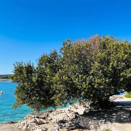 Apartmani Mate Rogoznica  Bagian luar foto